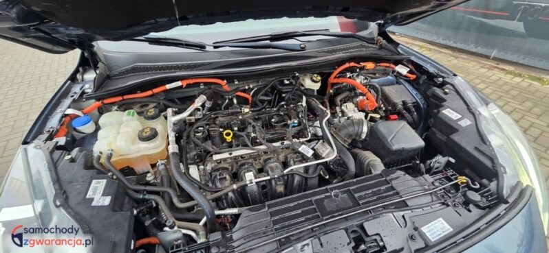 Ford Kuga 2.5P PHEV FWD Titanium full