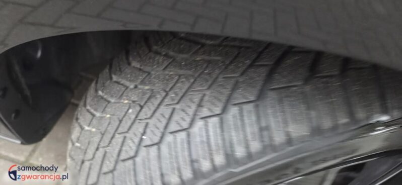 Ford Focus 1.0 EcoBoost Start-Stopp-System Champions Edition full