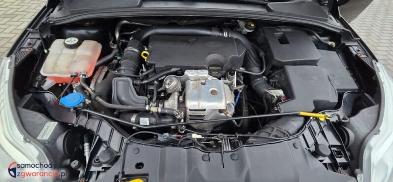 Ford Focus 1.0 EcoBoost Start-Stopp-System Champions Edition full