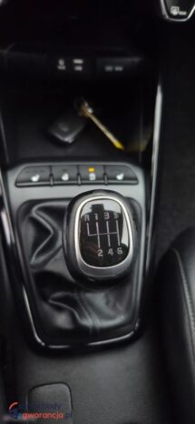 Kia Rio 1.0 T-GDI 120 Platinum Edition full