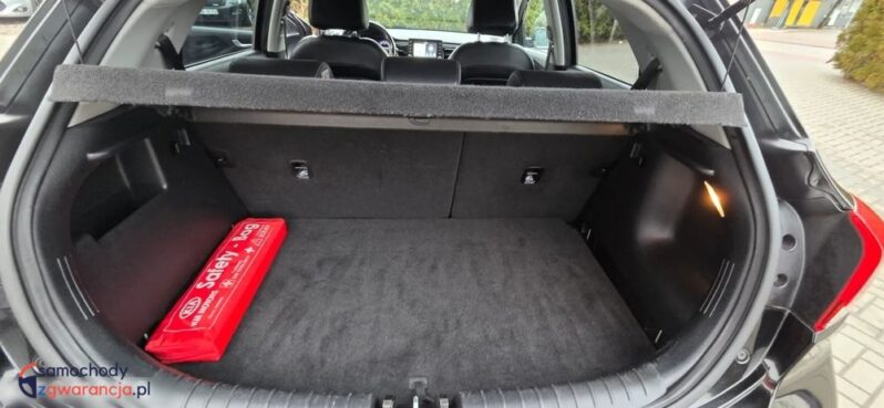 Kia Rio 1.0 T-GDI 120 Platinum Edition full