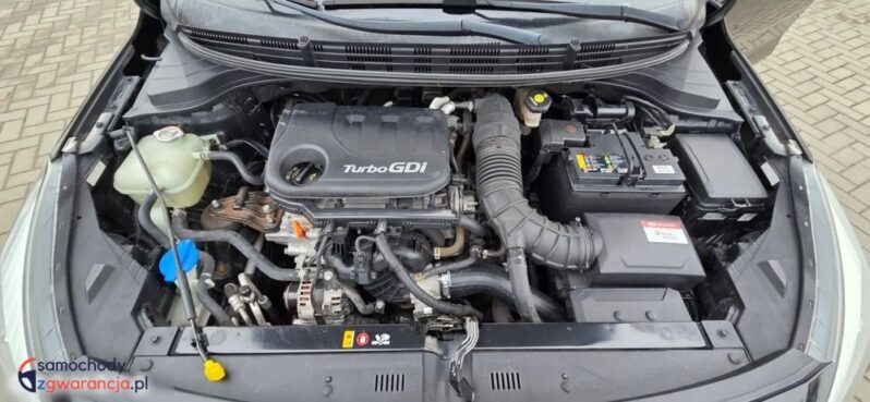 Kia Rio 1.0 T-GDI 120 Platinum Edition full