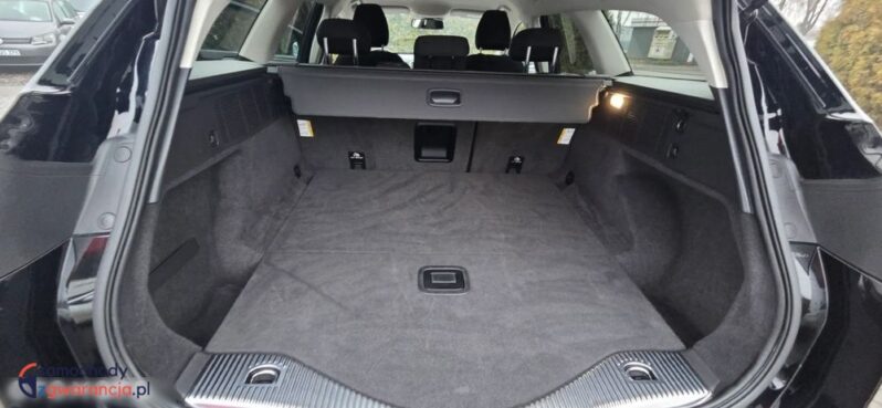 Ford Mondeo full