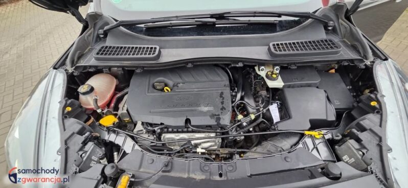 Ford Kuga 1.5 EcoBoost 2×4 ST-Line full