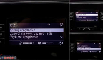 Renault Megane full