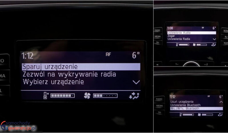 Renault Megane full