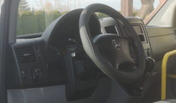 Mercedes-Benz Sprinter 313 CDI (BlueTec) 906.235 BlueEFFICIENCY full