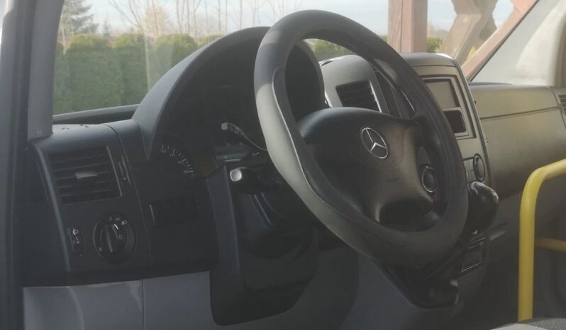 Mercedes-Benz Sprinter 313 CDI (BlueTec) 906.235 BlueEFFICIENCY full