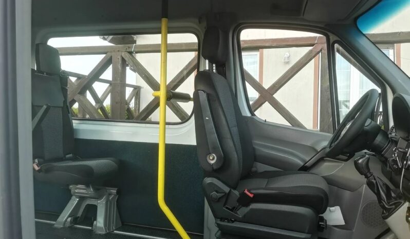 Mercedes-Benz Sprinter 313 CDI (BlueTec) 906.235 BlueEFFICIENCY full