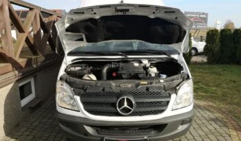Mercedes-Benz Sprinter 313 CDI (BlueTec) 906.235 BlueEFFICIENCY full