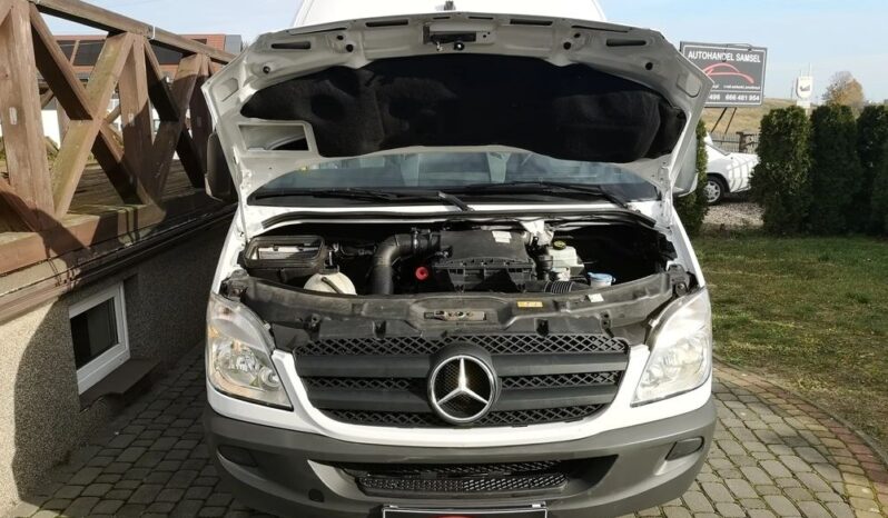 Mercedes-Benz Sprinter 313 CDI (BlueTec) 906.235 BlueEFFICIENCY full