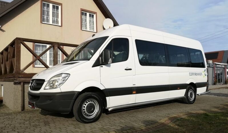 Mercedes-Benz Sprinter 313 CDI (BlueTec) 906.235 BlueEFFICIENCY full