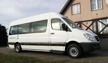Mercedes-Benz Sprinter 313 CDI (BlueTec) 906.235 BlueEFFICIENCY full