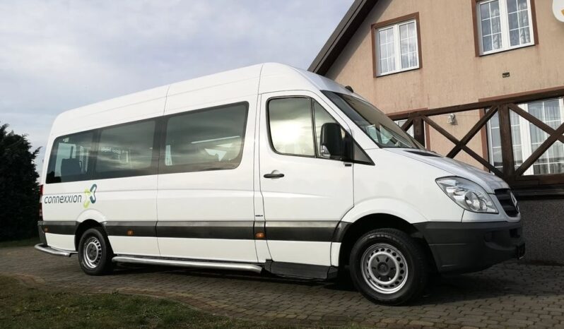 Mercedes-Benz Sprinter 313 CDI (BlueTec) 906.235 BlueEFFICIENCY full