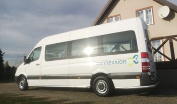 Mercedes-Benz Sprinter 313 CDI (BlueTec) 906.235 BlueEFFICIENCY full