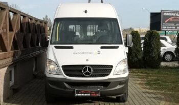 Mercedes-Benz Sprinter 313 CDI (BlueTec) 906.235 BlueEFFICIENCY full