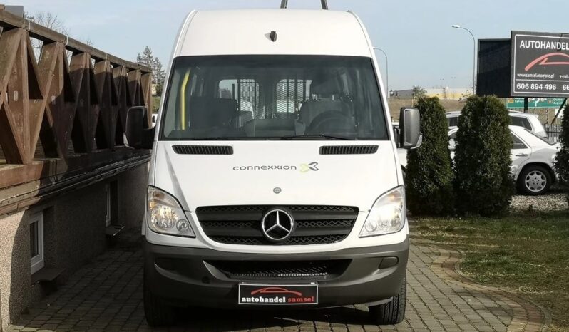 Mercedes-Benz Sprinter 313 CDI (BlueTec) 906.235 BlueEFFICIENCY full