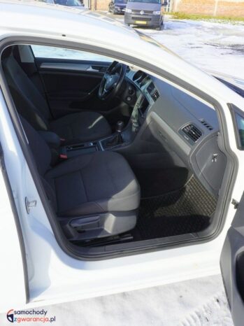 Volkswagen Golf full