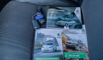 Skoda Octavia 2.0 TDI 4×4 Style DSG full
