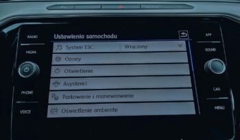 Volkswagen Passat 2.0 TDI SCR 4Mot DSG Highline full