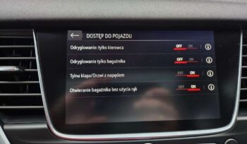 Opel Grandland X full