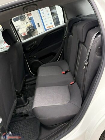 Fiat Punto full