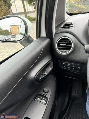 Fiat Punto full