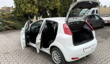 Fiat Punto full
