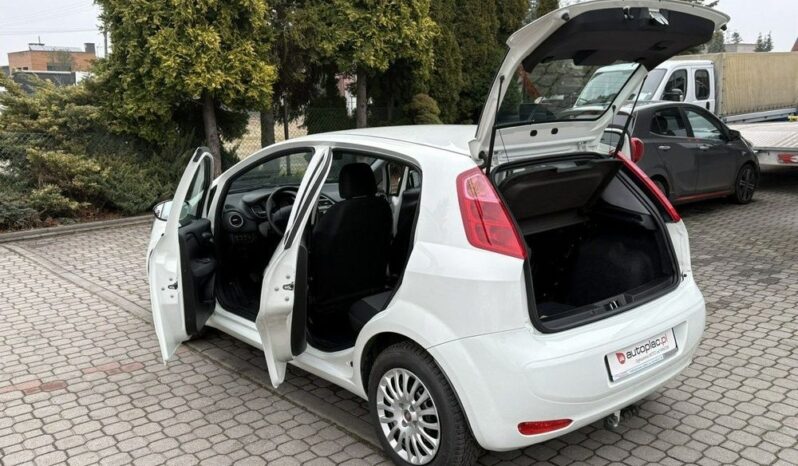 Fiat Punto full