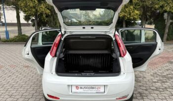 Fiat Punto full