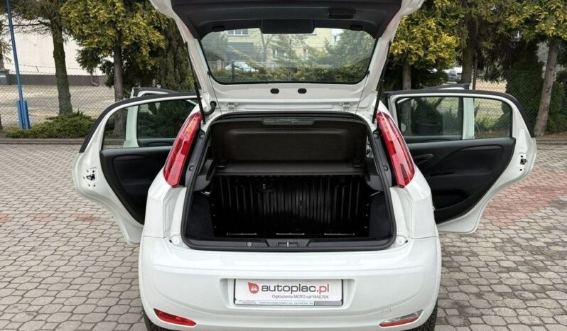 Fiat Punto full