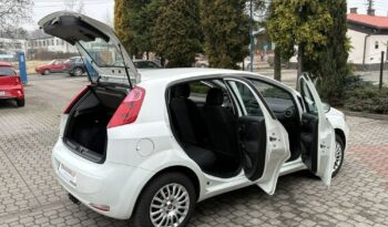 Fiat Punto full