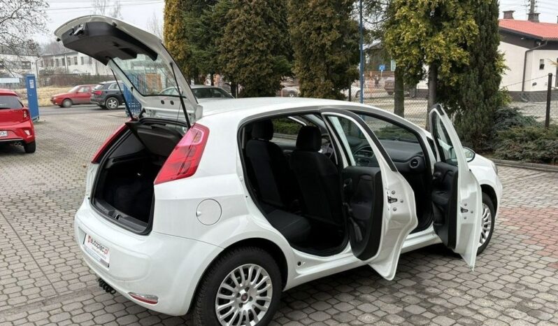 Fiat Punto full