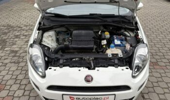 Fiat Punto full
