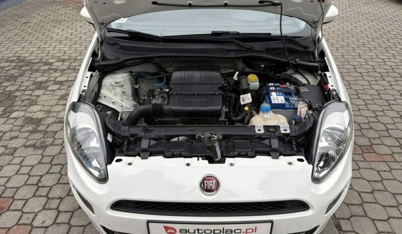 Fiat Punto full