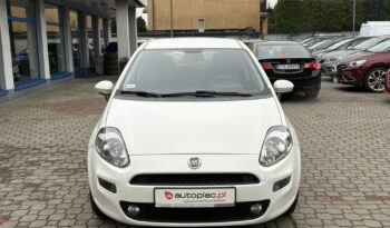 Fiat Punto full