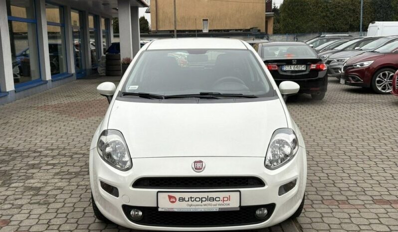 Fiat Punto full