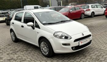 Fiat Punto full