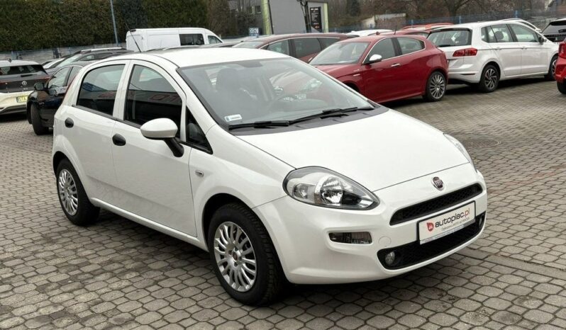 Fiat Punto full
