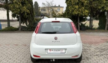 Fiat Punto full