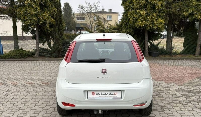 Fiat Punto full