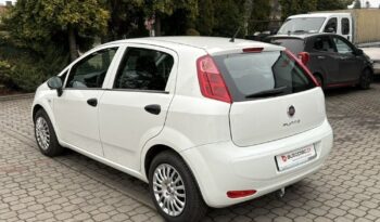 Fiat Punto full