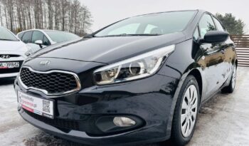 Kia Ceed 1.4 benz 100KM; Bezwypadkowa; Idealna; Z Niemiec; FV Marża; Gwarancja! full