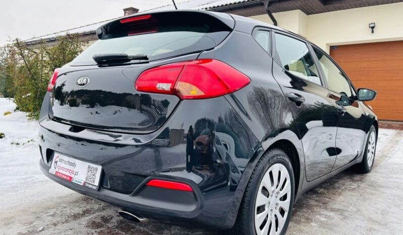 Kia Ceed 1.4 benz 100KM; Bezwypadkowa; Idealna; Z Niemiec; FV Marża; Gwarancja! full