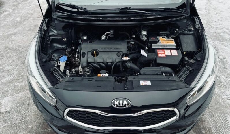 Kia Ceed 1.4 benz 100KM; Bezwypadkowa; Idealna; Z Niemiec; FV Marża; Gwarancja! full