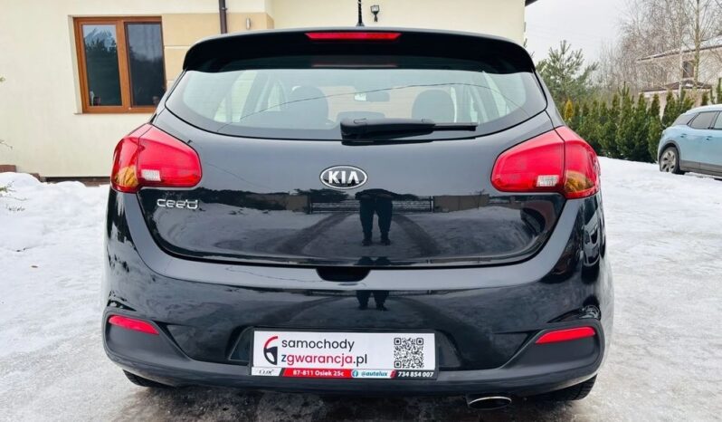 Kia Ceed 1.4 benz 100KM; Bezwypadkowa; Idealna; Z Niemiec; FV Marża; Gwarancja! full