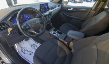 Ford Kuga 2.5 Hybryda ST-LINE | GDYNIA full