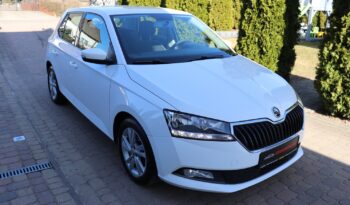 SKODA FABIA 1.0, 1 WŁAŚCICIEL, SERWISOWANY, KRAJOWY, GWARANCJA full