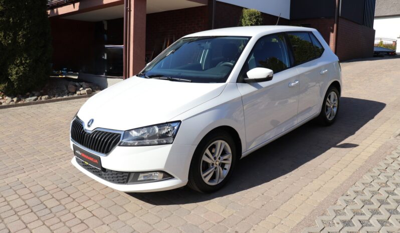 SKODA FABIA 1.0, 1 WŁAŚCICIEL, SERWISOWANY, KRAJOWY, GWARANCJA full