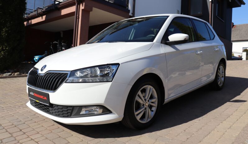 SKODA FABIA 1.0, 1 WŁAŚCICIEL, SERWISOWANY, KRAJOWY, GWARANCJA full